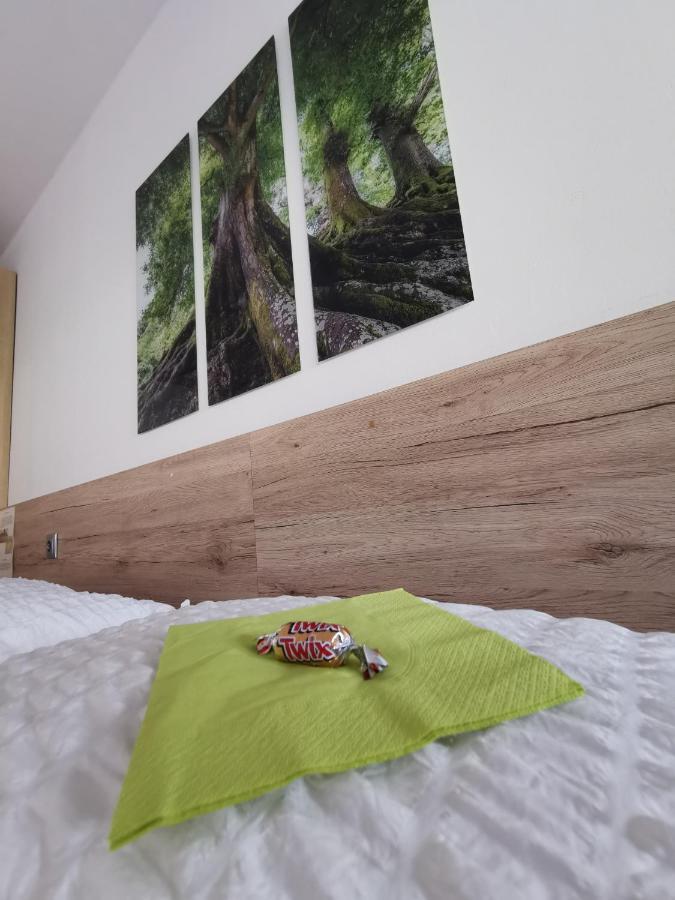 Appartement Mit Doppelbett Oder 2 Einzelbetten Бад Аузее Екстериор снимка